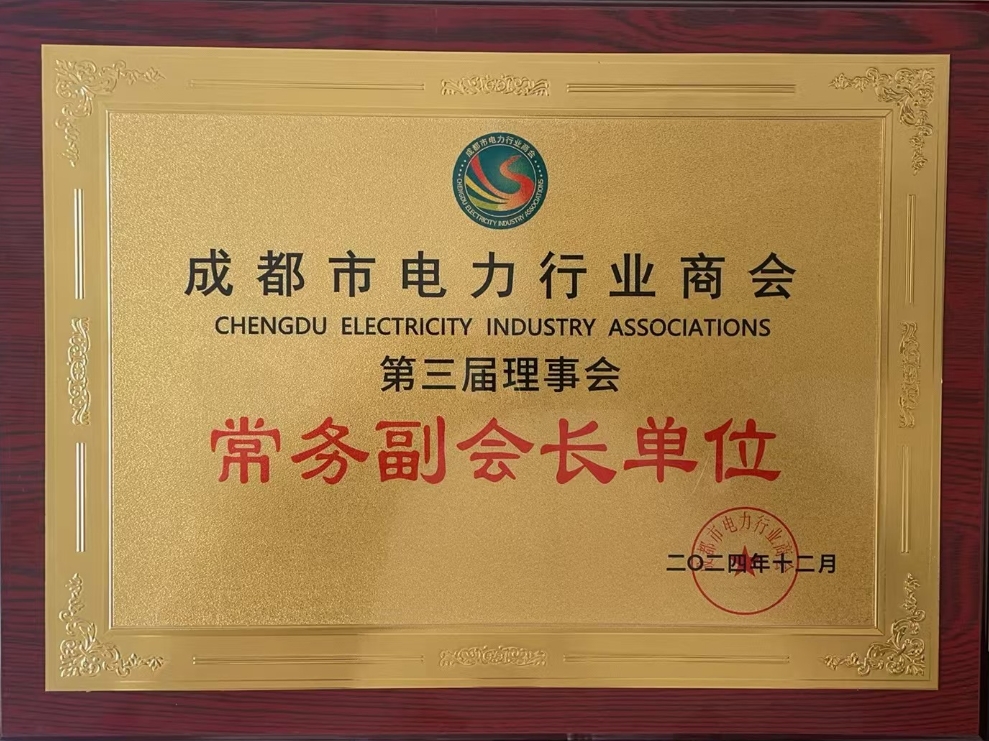 常务副会长单位